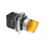 MTB4-BK25713 - Переключатель  на 2 положения с фиксацией и подсветкой,  желтый, 1NO, 220V AC/DC, IP65, металл